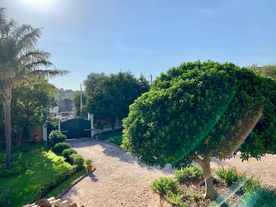 Casa Magnolia Διαμέρισμα Αουγκούστα Εξωτερικό φωτογραφία